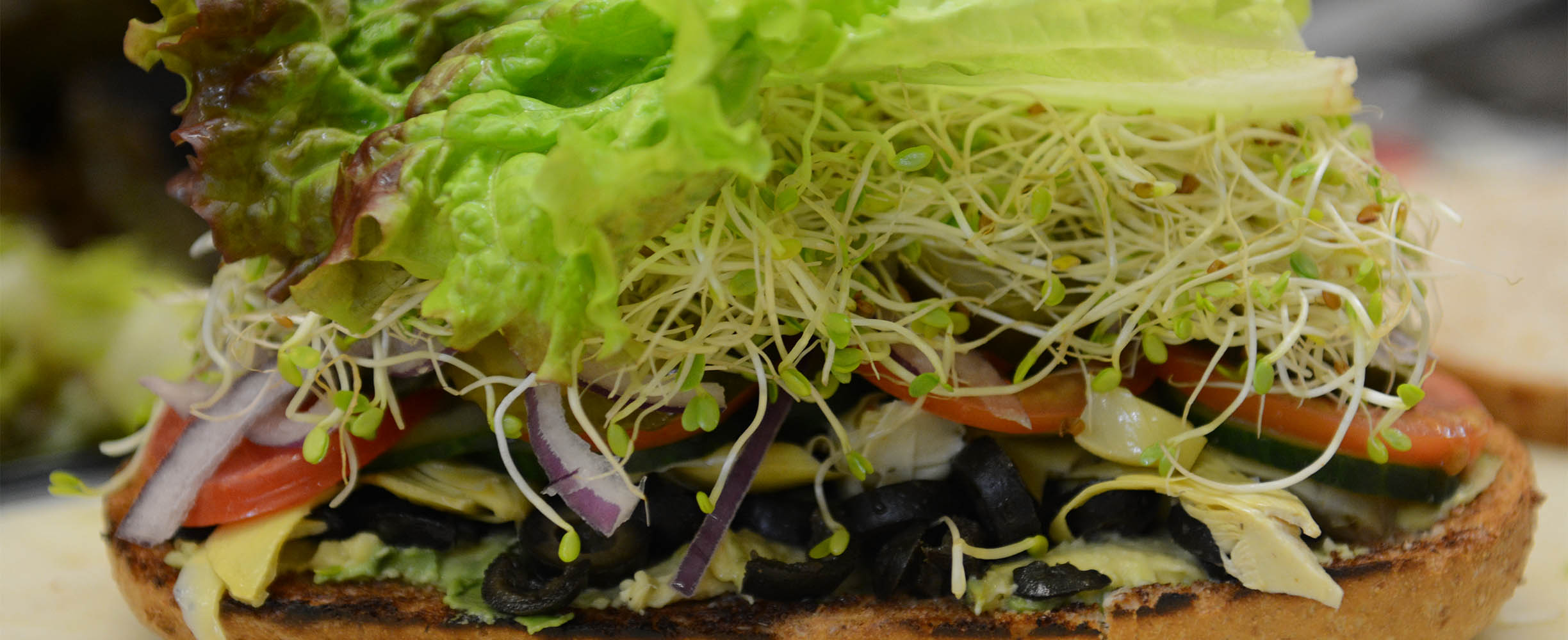 Vegetarian sandwich with sprouts in Palo Alto